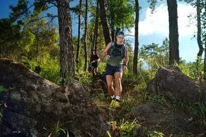 BIB: 
                            <button type="button" onclick="openModal(18933452)" class="btn btn-primary btn-sm float-right btn-popup" data-toggle="modal" data-target=".modal-high-quality">
                        <i class="fas fa-shopping-cart"></i> Add to Cart
                    </button>
                                            <button type="button" onclick="isThisMe(18933452, true)" class="btn btn-success btn-sm float-right btn-popup btn-isme hidden" data-toggle="tooltip" data-placement="bottom" title="นี่คือรูปของคุณใช่ไหม คลิกที่นี่เพื่อเอาเข้าอัลบั้ม">
                        <i class="fas fa-plus"></i> Add to album
                    </button>
                    <button type="button" onclick="isThisMe(18933452, false)" class="btn btn-warning btn-sm float-right btn-popup btn-isnotme hidden">
                        <i class="fas fa-ban"></i> Remove from album
                    </button>